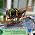 The Bug Man, LLC - Pest Management in Murfreesboro, TN - Gallery Photo 1