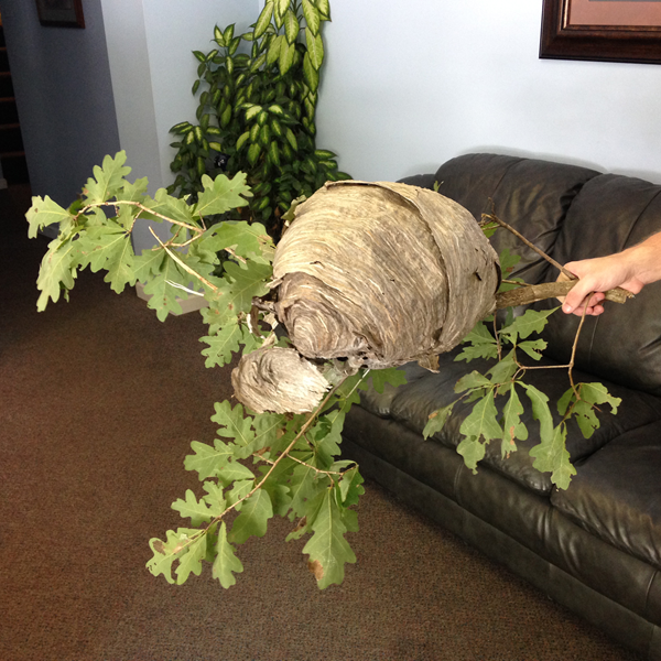 Alford Home Solutions