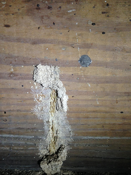 Alford Home Solutions