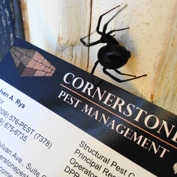 Cornerstone Pest Management