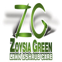 Zoysia Green