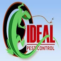 Ideal Pest Control