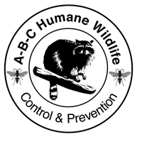 ABC Humane Wildlife Control & Prevention