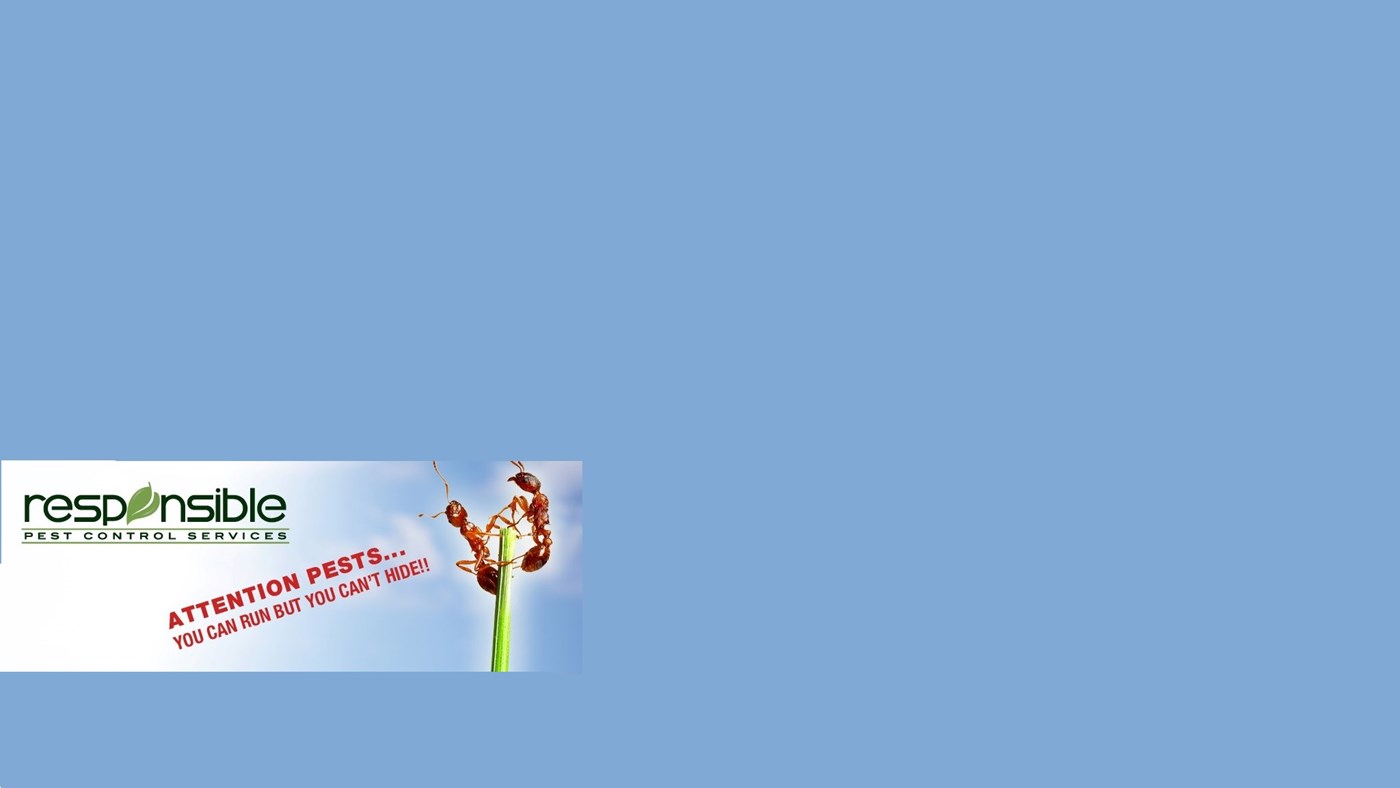 responsible pest control responsible pest control responsible pest control responsible pest control