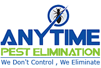 Anytime Pest Elimination